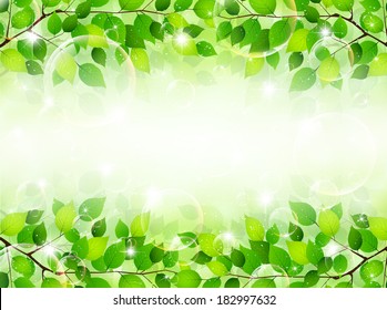 Plant leaf background