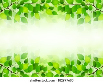 Plant leaf background