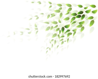 Plant leaf background