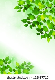 Plant leaf background