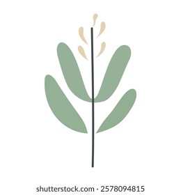 Plant leaf, branch. Icon, vector illustration, graphic design, flat style
