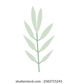 Plant leaf, branch. Icon, vector illustration, green, graphic design, flat style
