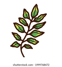 plant leaf branch vector illustration icon design template with doodle hand drawn fill color style