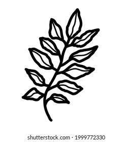 plant leaf branch vector illustration icon design template with doodle hand drawn outline style