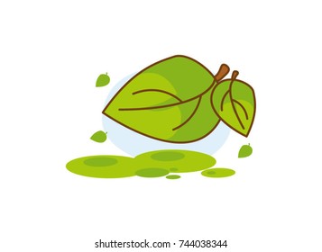 plant leaf  cartoon vector and illustration on white background