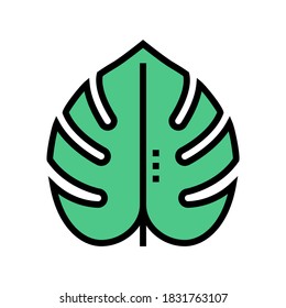 plant leaf color icon vector. plant leaf sign. isolated symbol illustration