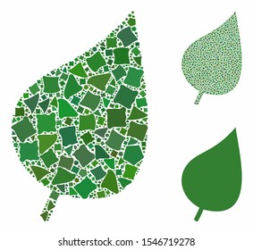 Plant leaf composition of uneven pieces in various sizes and color tinges, based on plant leaf icon. Vector trembly pieces are grouped into collage. Plant leaf icons collage with dotted pattern.