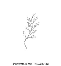 Plant leaf continuous line drawing, eco icon, tattoo, print for clothes, leaves logo design, silhouette single line on a white background, isolated vector illustration.