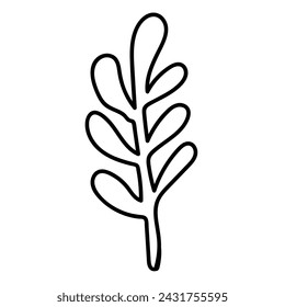 Plant leaf drawing. Vector illustration. 