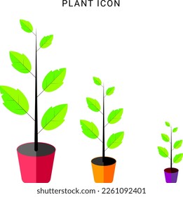 plant leaf, environment ecology, plant growth