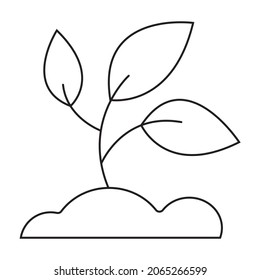 Plant Leaf Growth Vector art. Black and white. White background. Line drawing.