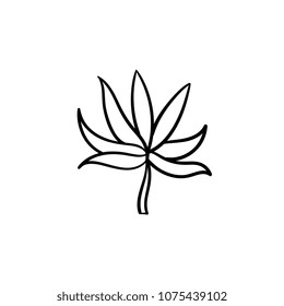 Icono de doodle de contorno de vector dibujado a mano en hoja de planta. Dibujo vectorial de la hoja de planta para impresión, web, móvil e infografía aislados en fondo blanco.