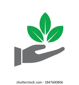 Plant leaf in hand icon design isolated on white background