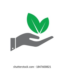 Plant leaf in hand icon design isolated on white background