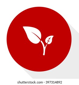 plant leaf icon
