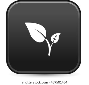 plant leaf icon
