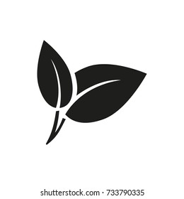 Plant leaf icon
