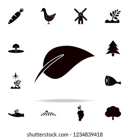 plant leaf icon. Farm icons universal set for web and mobile