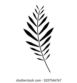 plant leaf icon image vector illustration design  black and white