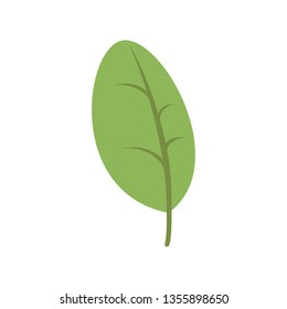 plant leaf icon. Isolated vector illustration