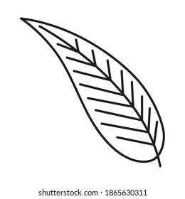 plant leaf icon over white background, line style, vector illustration
