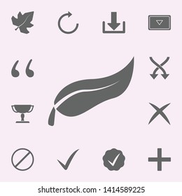 plant leaf icon. web icons universal set for web and mobile