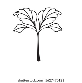a plant leaf illustration design