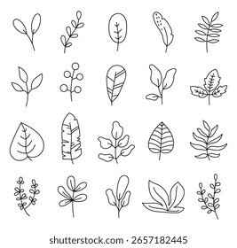 Forma inspirada en hojas de plantas en el arte de líneas de contorno con Elementos botánicos naturales para la decoración orgánica y para sus proyectos de ilustración y diseños creativos