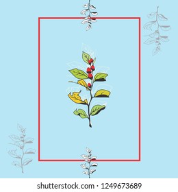 plant leaf life