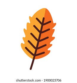 Plant leaf line and fill style symbol design of natural floral theme Vector illustration