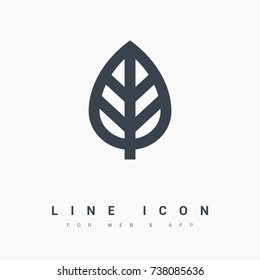 plant leaf line vector icon