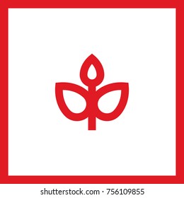 plant leaf line vector icon