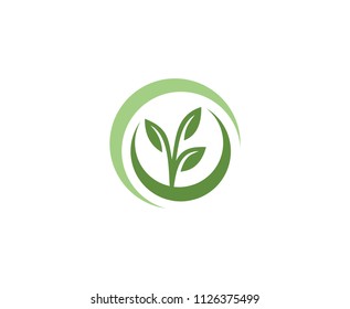 Plant leaf logo 