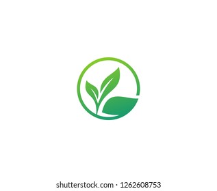 Plant leaf logo 