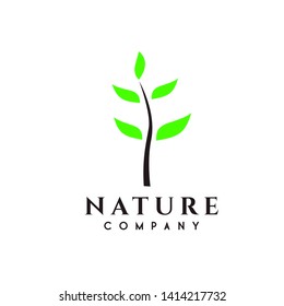 Plant / Leaf logo design vector / Nature logo with green color simple style