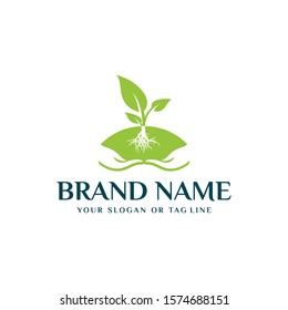 Plant leaf logo and hand vector template
