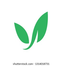 Plant leaf logo template vector nature icon design