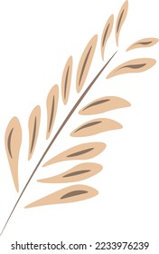 Plant Leaf, Long Leaf style illustration