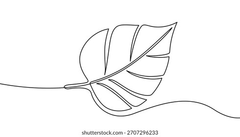 Plant leaf in one line art style. Leaf drawing with editable black stroke on a white background. Vector illustration.