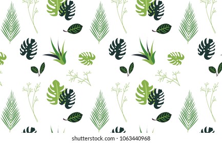 Plant / Leaf / Pattern / Transparent Background / Texture