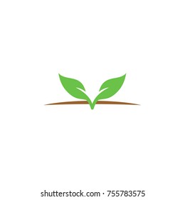 Plant - Leaf - Plantation Logo