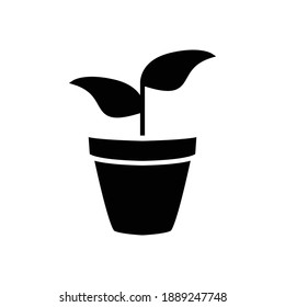 plant leaf pot icon glyph style vector