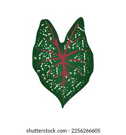 Ilustración vectorial de hoja vegetal, diseño de vectores vegetales verdes.