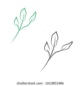 Plant leafage linear vector icon. Tree branches, twigs with leaves outline illustration. Botanical logotype design element. Herb, frondage, nature protection symbol on white background.