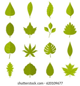 Plant leafs icons set in flat style isolated vector illustration