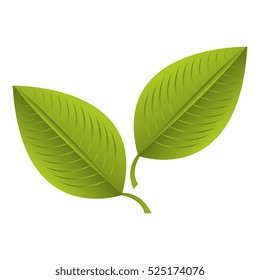 plant leafs isolated icon