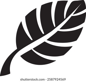 Plant Leave Icon on Black and White Vector Backgrounds