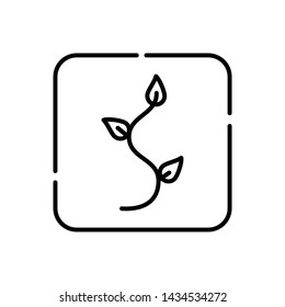 Plant and leave vector icon