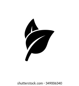 plant leaves