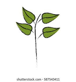 plant with leaves